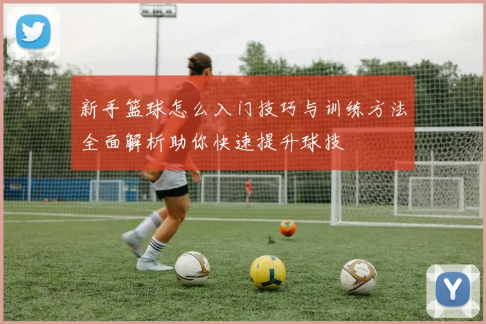 新手篮球怎么入门技巧与训练方法全面解析助你快速提升球技