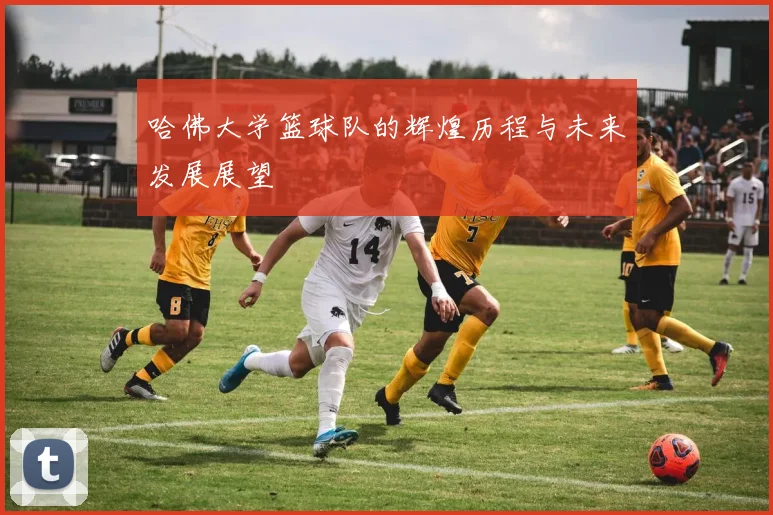 哈佛大学篮球队的辉煌历程与未来发展展望